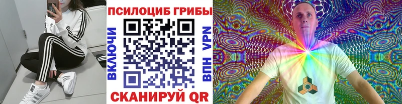 Псилоцибиновые грибы MAGIC MUSHROOMS  купить   Усть-Лабинск 
