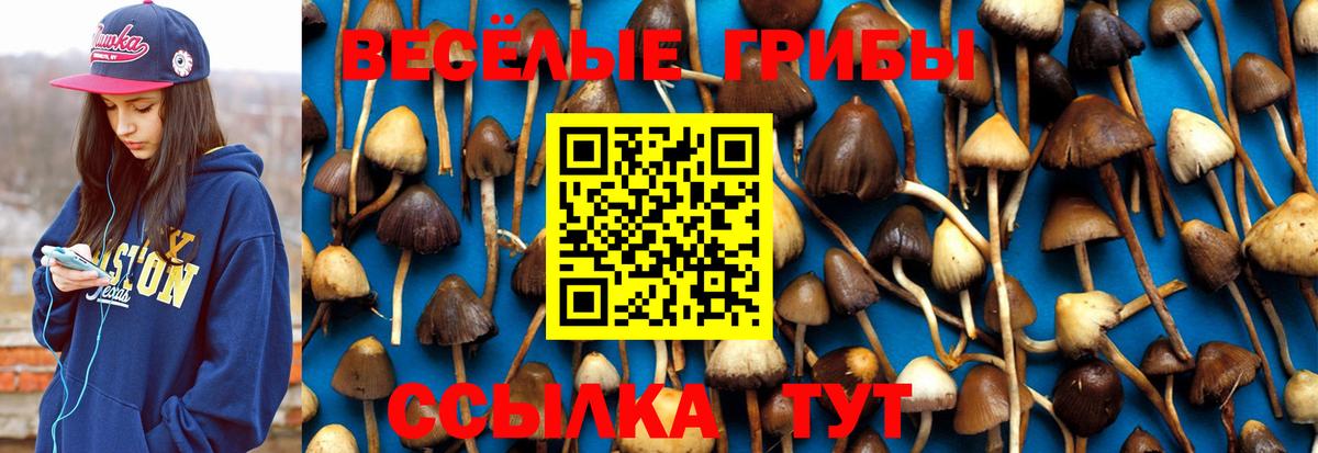 Усть-Лабинск  дарнет шоп  Вход с VPN  Галлюциногенные грибы ЛСД 